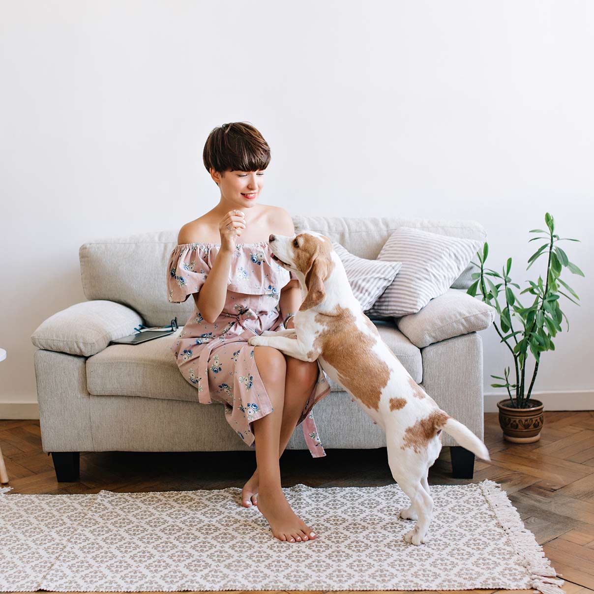 pretty-lady-with-beagle-dog-1208×1208